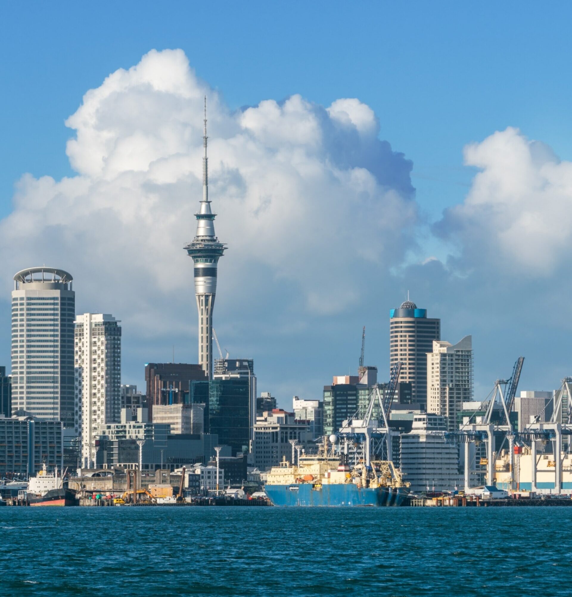 Navigating the New Zealand Student Visa Process: Essential Steps
